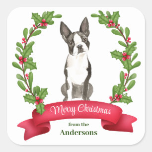 Holly Banner Boston Terrier Dog Christmas Square Sticker