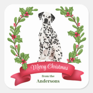 Holly Banner Dalmatian Dog Christmas Square Sticker