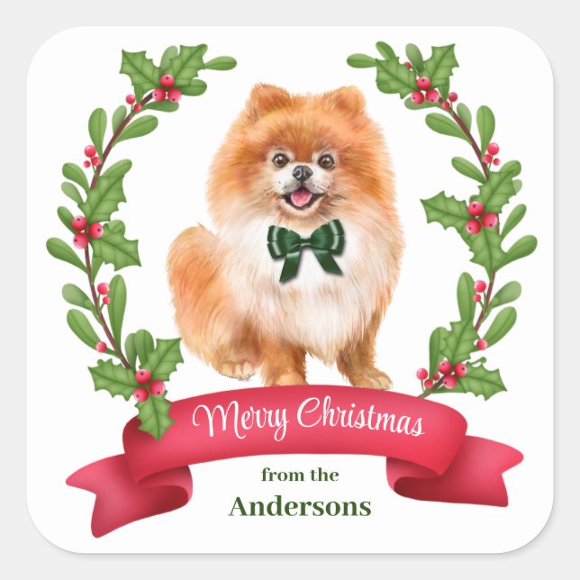 Holly Banner Red Pomeranian Christmas Square Sticker (Front)