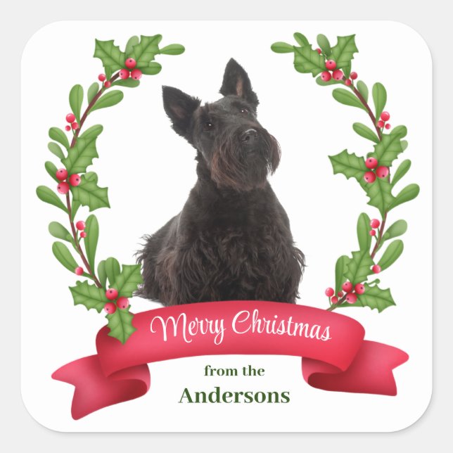 Holly Banner Scottish Terrier Dog Christmas Square Sticker (Front)
