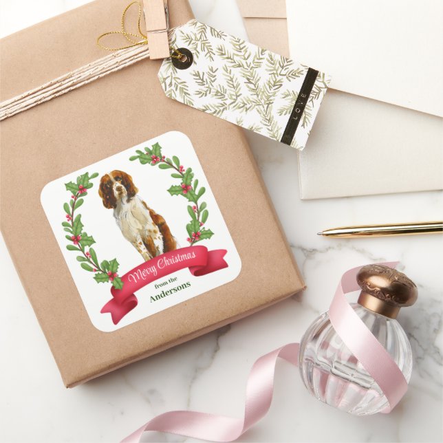 Holly Banner Springer Spaniel Dog Christmas Square Sticker (Gifting)