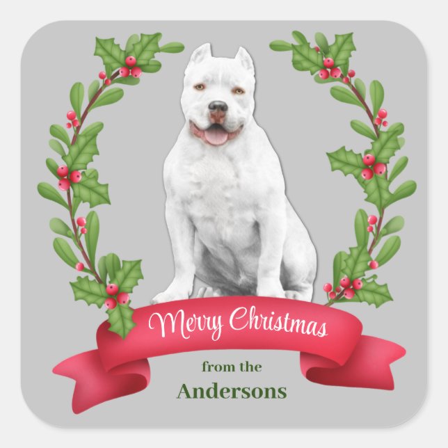 Holly Banner White Pit Bull Dog Christmas Square Sticker (Front)