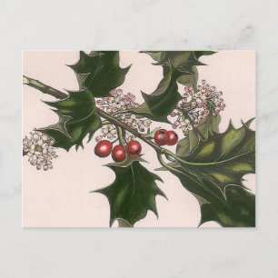 holly berrie postcard