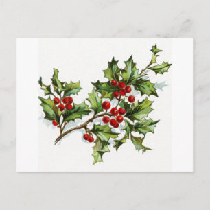 Holly Berries 001 Postcard