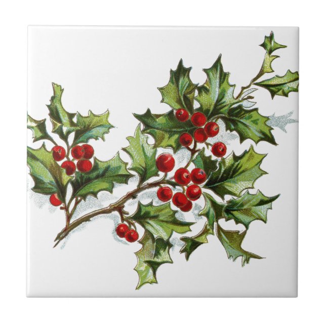 Holly Berries 001 Tile (Front)