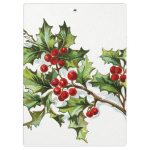 Holly Berries 002 Clipboard