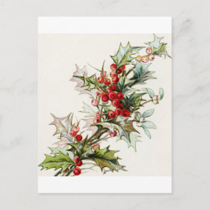 Holly Berries 003 Postcard