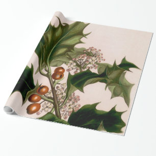 holly berries, christmas wrapping paper