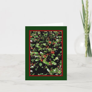 'Holly & Berries' Holiday Card - "Merry Christmas"