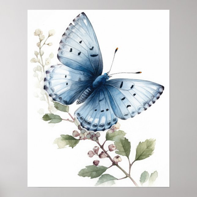 Holly Blue Butterfly Art Print Poster (Front)