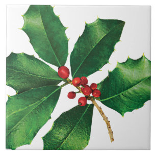 Holly Branch Tile