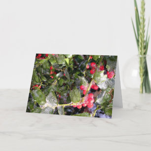 Holly Holiday Card