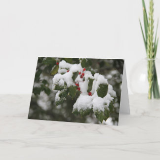 Holly in Fresh Snow, Blank Card, Use for Notes