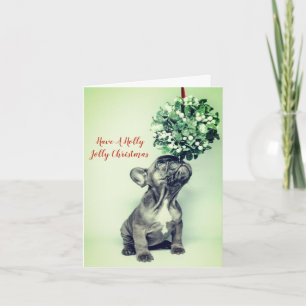Holly Jolly French Bulldog Christmas Holiday Card