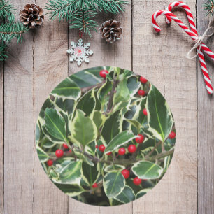 Holly Leaves and Red Berries Holiday Paper Plate