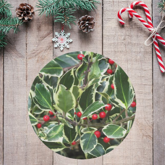 Holly Leaves and Red Berries Holiday Paper Plate (In Situ Holiday)