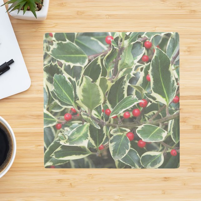 Holly Leaves and Red Berries Holiday Stone Coaster (In Situ Office)