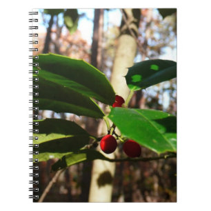 Holly Leaves I Holiday Botanical Notebook