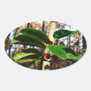 Holly Leaves I Holiday Botanical Oval Sticker