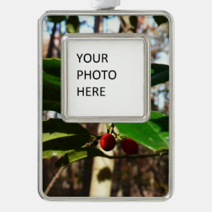Holly Leaves I Holiday Botanical Silver Plated Framed Ornament