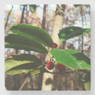 Holly Leaves I Holiday Botanical Stone Coaster