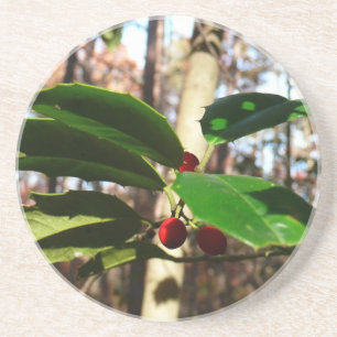 Holly Leaves I Holiday Christmas Nature Botanical Coaster