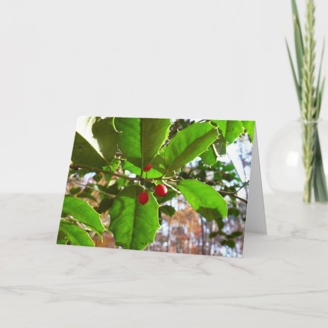 Holly Leaves II Holiday Nature Botanical (Front)