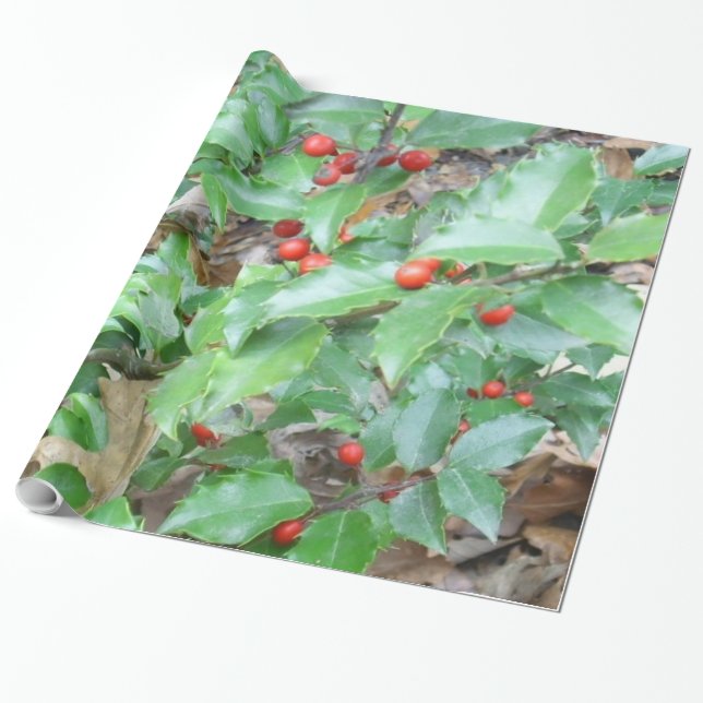 Holly-n-Berry Wrapping Paper (Unrolled)