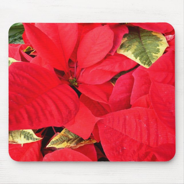 Holly Point Poinsettias Holiday Floral Mouse Mat (Front)