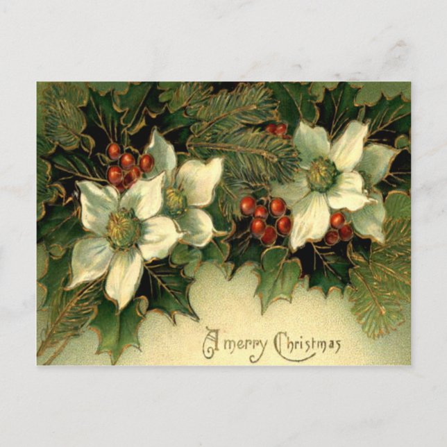 Holly Postcard (Front)