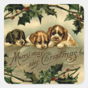 Holly Puppies Christmas Greetings Square Sticker
