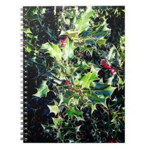 Holly , red berries notebook