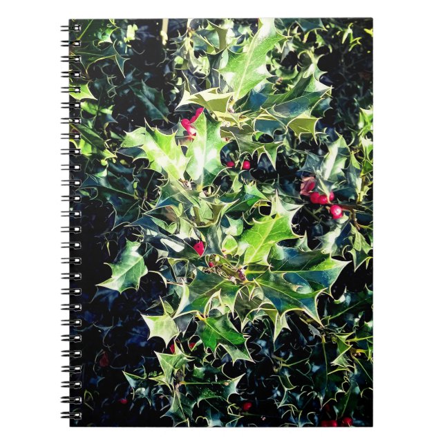 Holly , red berries  notebook (Front)
