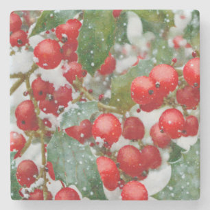 Holly Red Berry Christmas Season Holiday Coaster
