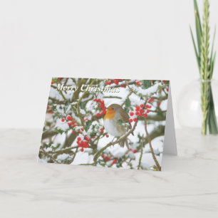 Holly & Robin Christmas Card