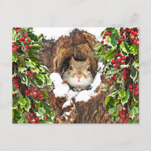 "Holly Tree Christmas" Postcard