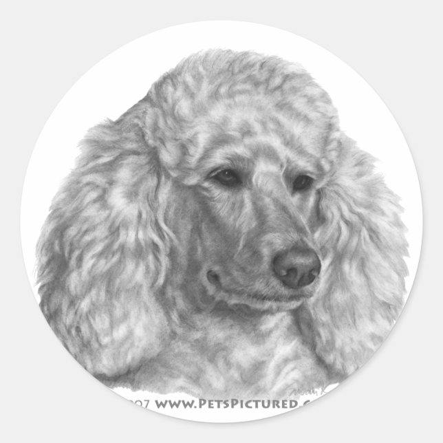 Holly, White Poodle Classic Round Sticker (Front)