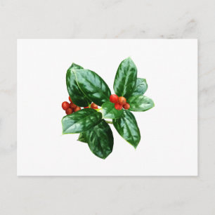 Holly With Berries Postcard