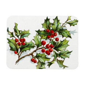 HollyBerries20150801 Magnet