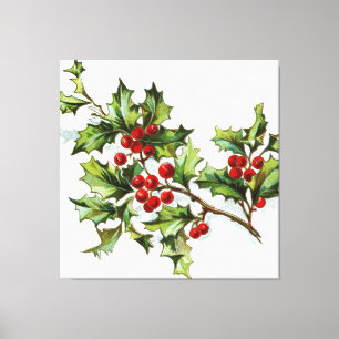 HollyBerries20150802 Canvas Print