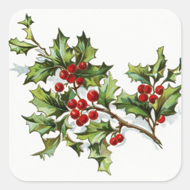 HollyBerries20150802 Square Sticker (Front)