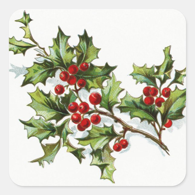 HollyBerries20150802 Square Sticker (Front)