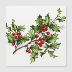 HollyBerries_001