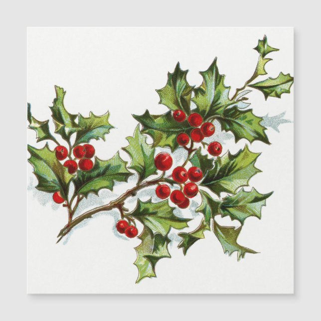 HollyBerries_001 (Front)