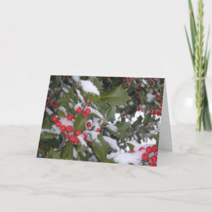 "Hollyberry" Holiday Card