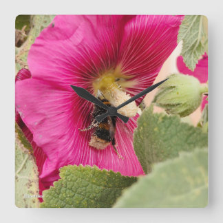 Hollyhock bumble bee Square Wall Clock