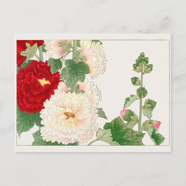 Hollyhock by Tanigami Konan Postcard (Front)