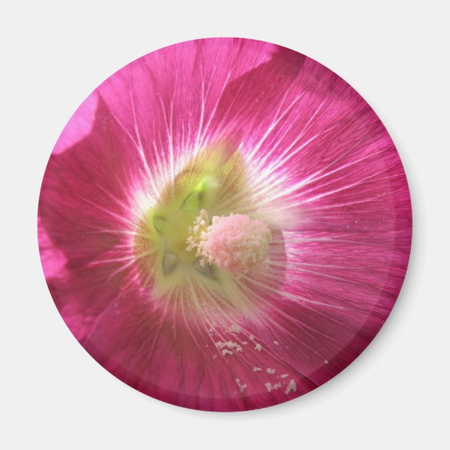 Hollyhock Deep Pink Magnet (Front)