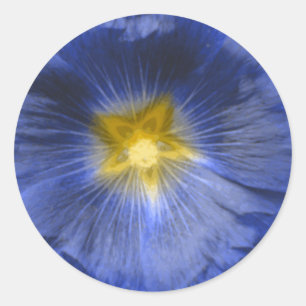 Hollyhock Flower Beautiful Blue Sticker