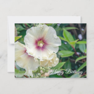 Hollyhock flowers birthday card